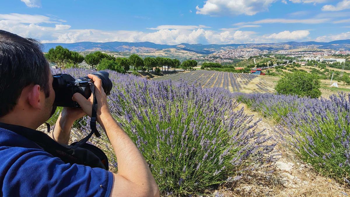 Mora bürünen lavanta tarlaları fotoğraf tutkunlarının yeni rotası oldu haber görseli