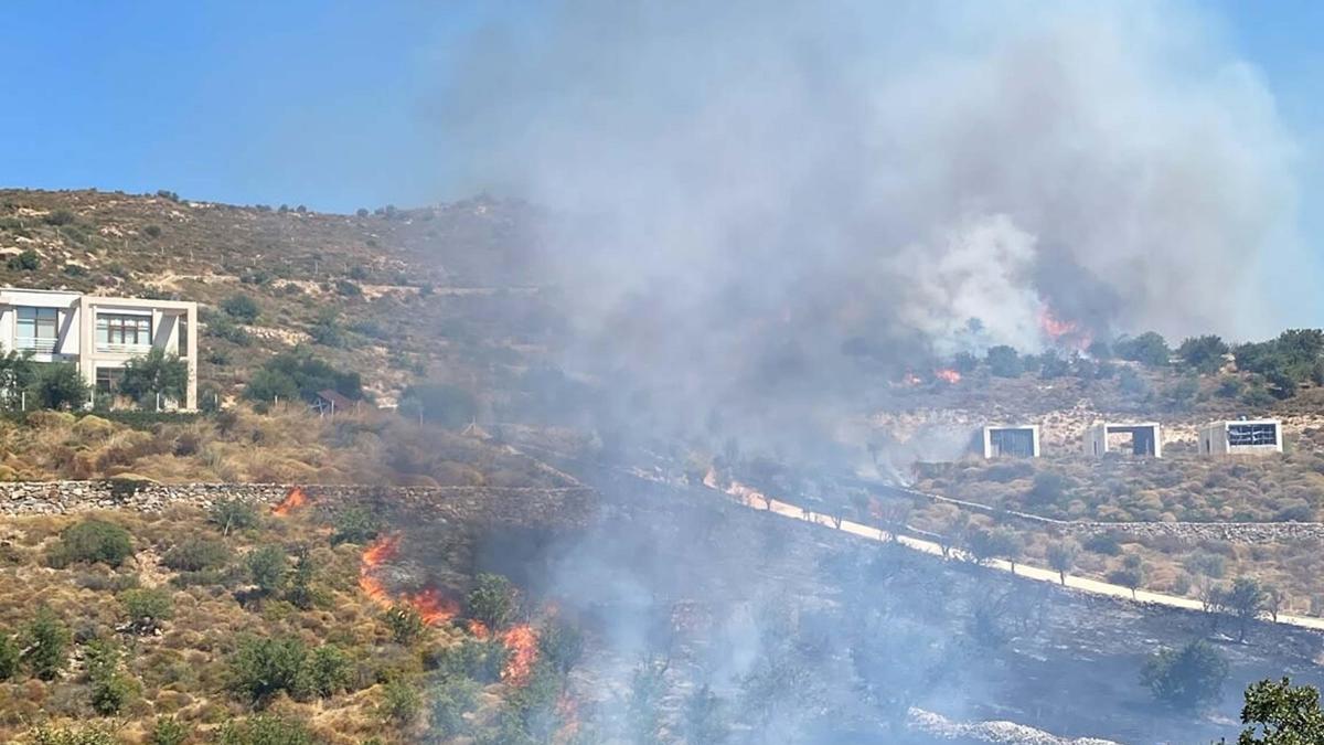 Bodrum'da otluk ve makilik alanda yangın haber görseli