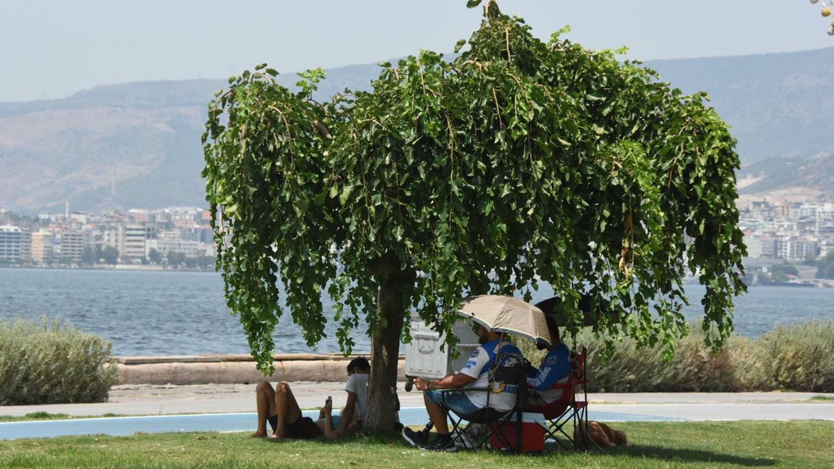 Prof. Dr. Yaşar: İzmir'de bu yaz büyük bir sıcaklık olmayacak
