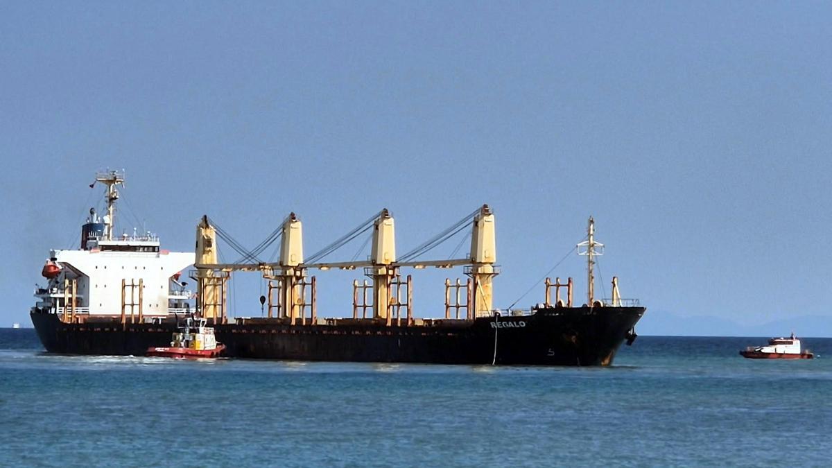 Tekirdağ açıklarında kuru yük gemisi karaya oturdu haber görseli