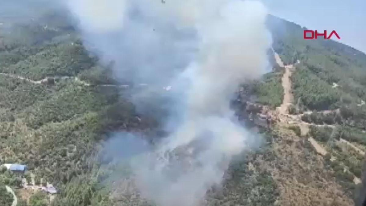 İzmir ve Kütahya'daki orman yangınlarına müdahale eden ekiplerin havadan ve karadan çalışmaları.