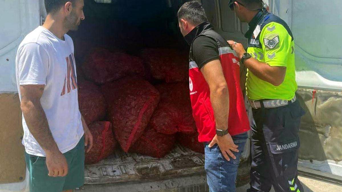 Malkara'da 700 kilo kaçak midye ele geçirildi