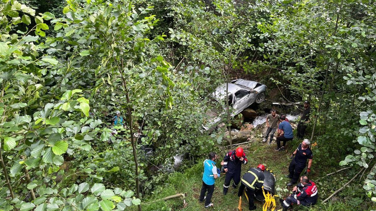 Kamyonet fındık bahçesine yuvarlandı; 1 ölü, 5 yaralı / Ek fotoğraflar