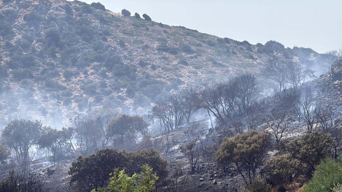 Bodrum'da makilik alanda çıkan yangın kontrol altında haber görseli