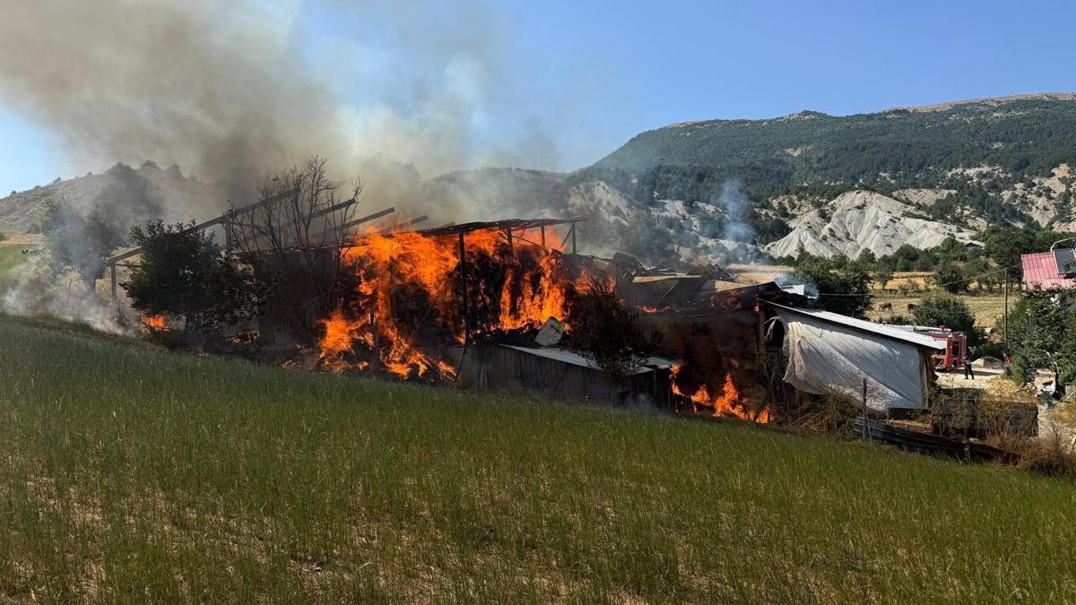 Köyde ahır ve samanlık yanarak küle döndü haber görseli