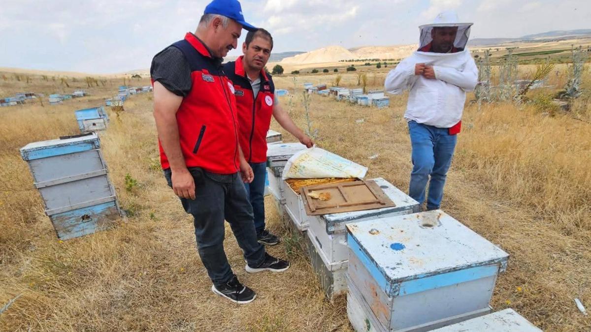 Arı kovanları kayıt altına alındı