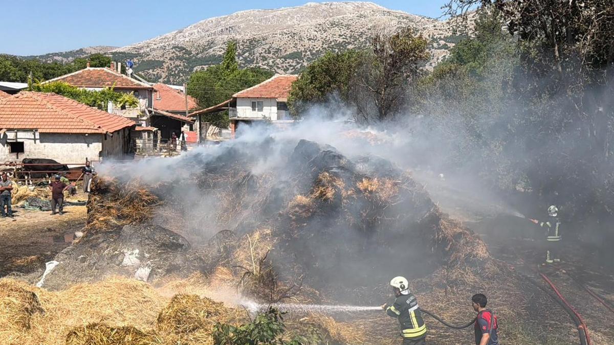 Burdur'da 50 ton saman zarar gördü