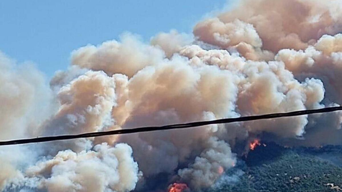 Çanakkale'de orman yangını haber görseli