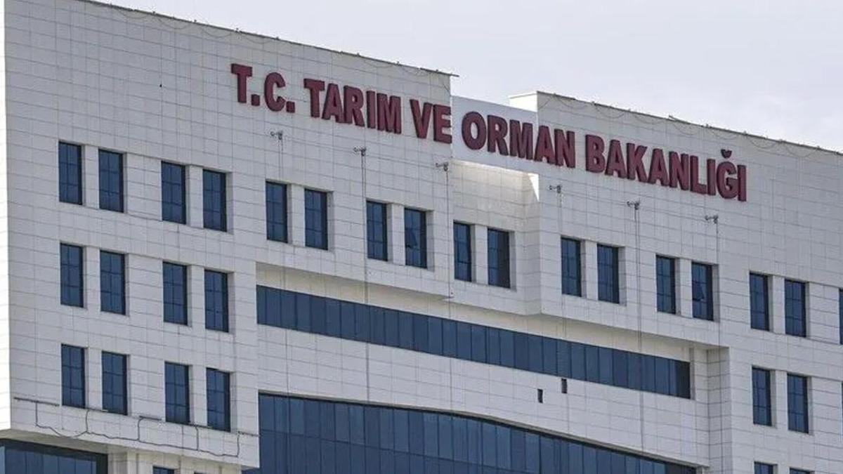 7 ilde orman yangını alarmı! Tarım ve Orman Bakanlığı: Müdahale sürüyor