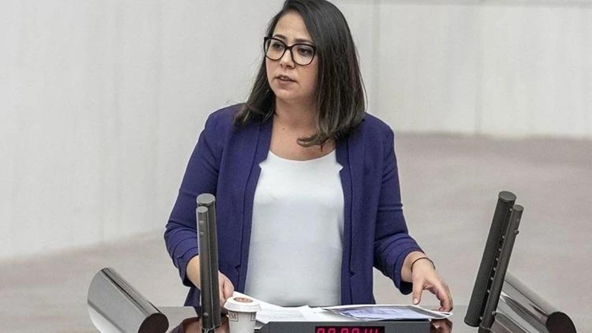 Sera Kadıgil kimdir, ne dedi? Seda Kadıgil hakkında neden soruşturma açıldı? Seda Kadıgil aslen nereli?