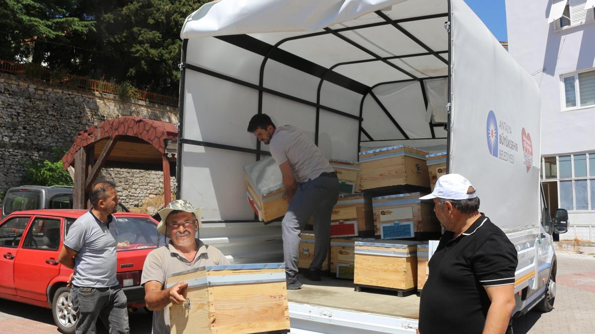 Büyükşehir’den Gündoğmuş ve İbradılı arıcılara bereket kovanı haber görseli