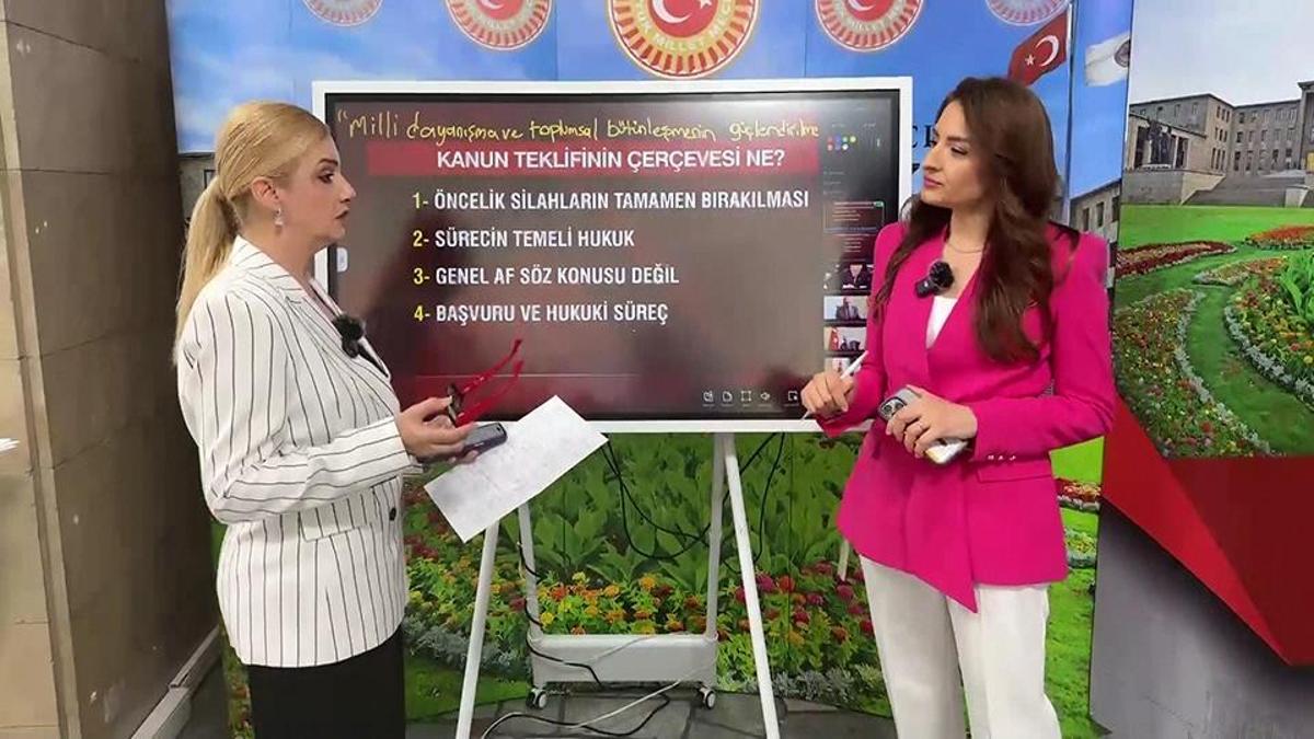 Terörsüz Türkiye yasasında yer alan maddeler CNN TÜRK'te haber görseli