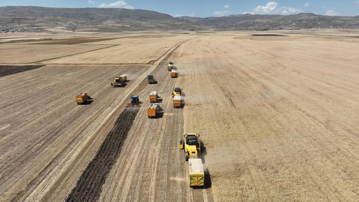 Ağrı’da hasat törenle başladı haber görseli