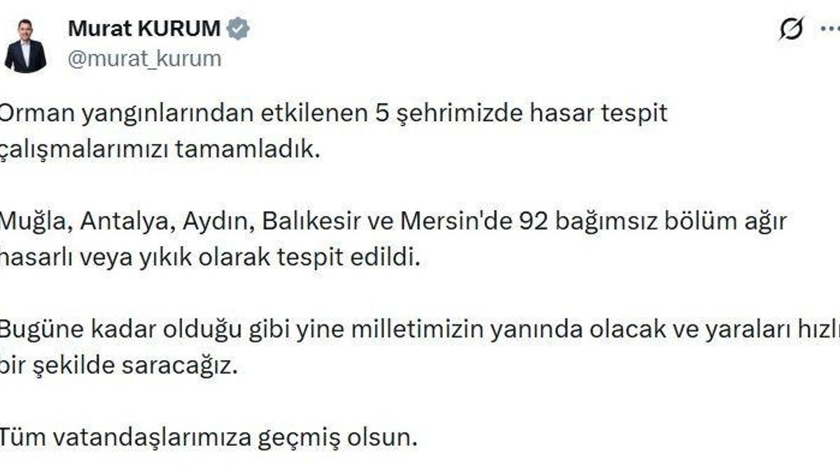 Orman yangınından etkilenen 5 ilde hasar tespit çalışmaları tamamlandı haber görseli