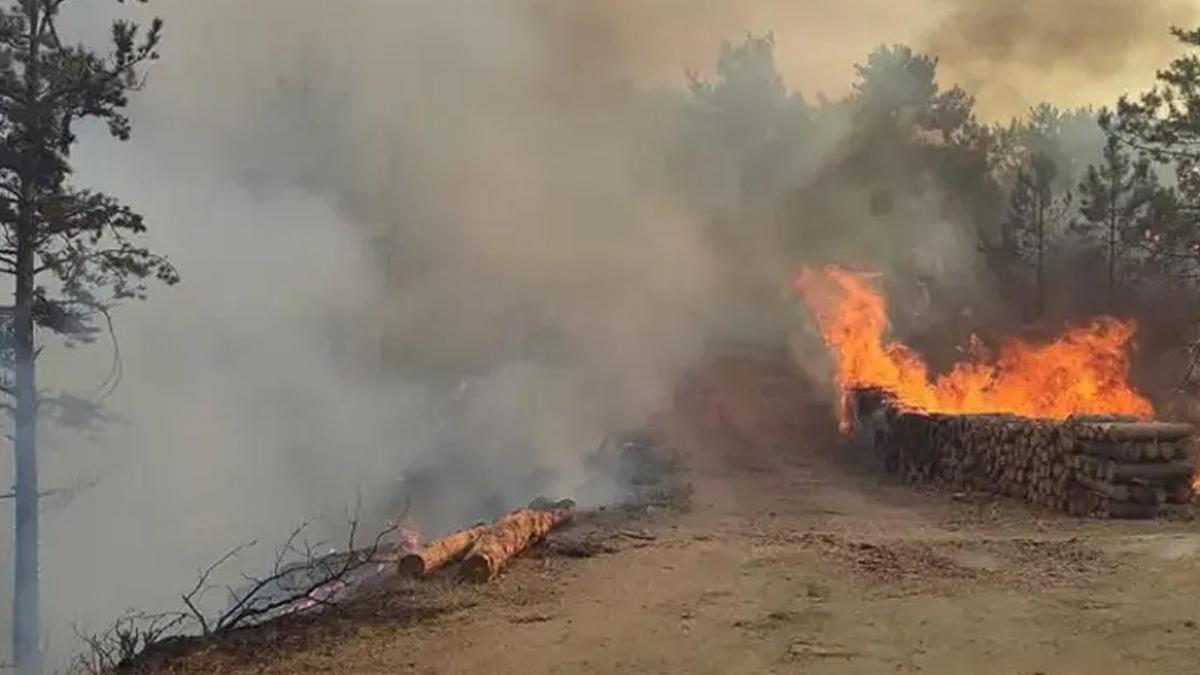 Bolu'da korkutan orman yangını haber görseli