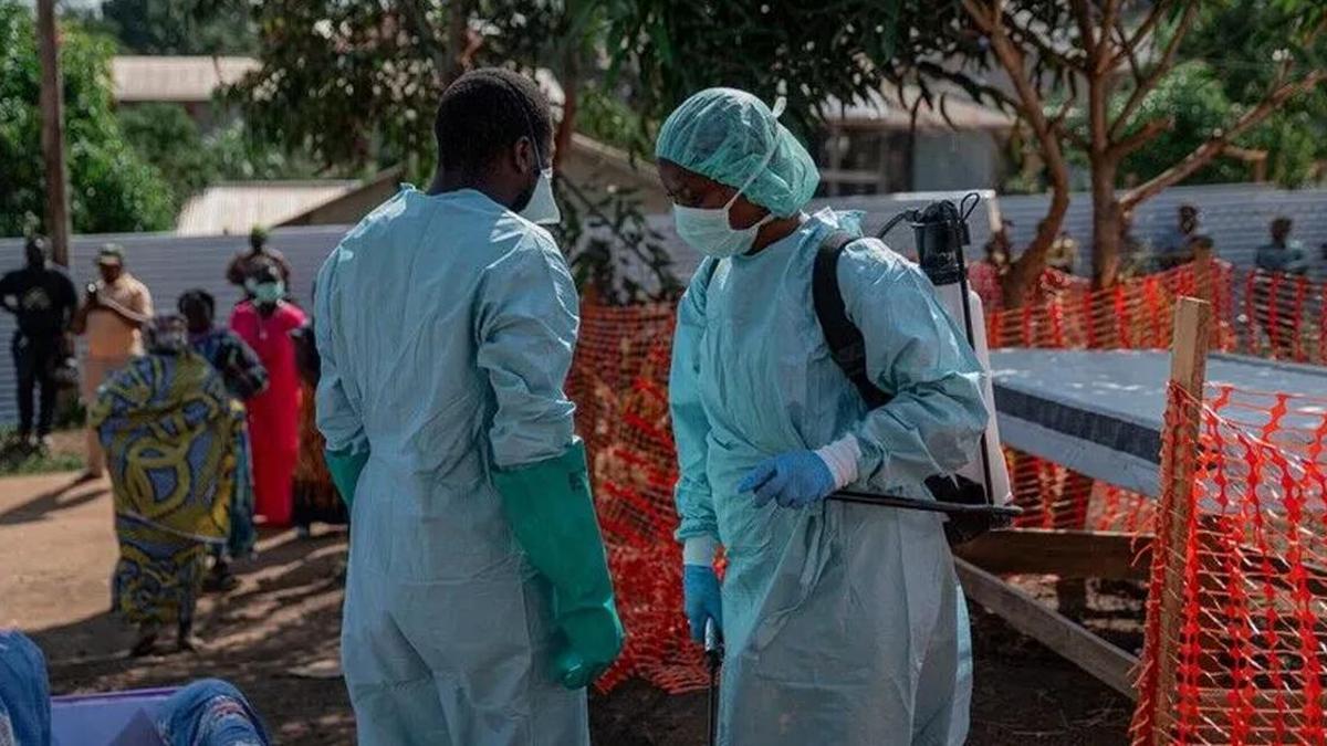 Nijerya'da Lassa alarmı! Can kaybı 237'ye çıktı haber görseli