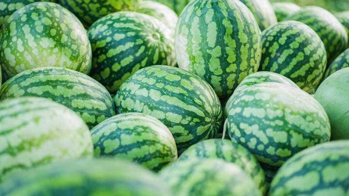 Of the 206,348 Tons Delivered There, 83,262 Tons Were Fruit and 123,086 Tons Were Vegetables