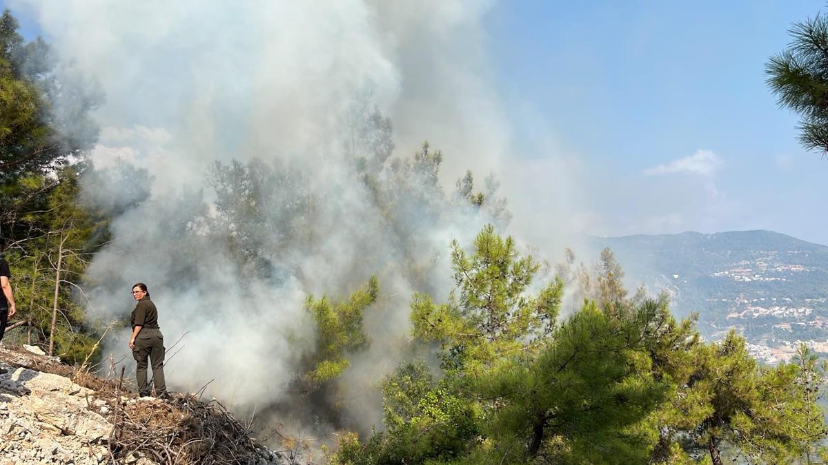 Antalya'da 2 ilçede orman yangını: Kontrol altına alındı