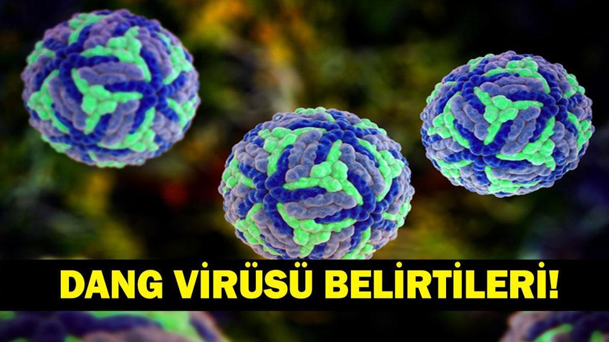 DANG VİRÜSÜ NEDİR, ÖLÜMCÜL MÜ? Dang virüsü Belirtileri Neler, Nasıl Bulaşır? Serdar Akinan'dan Dang Virüsü Açıklaması! haber görseli