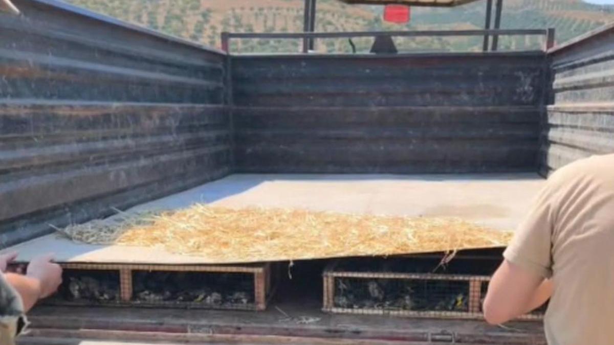 Traktörün römorkunda 2 bin 114 saka ele geçirildi; sürücüye 19,8 milyon TL ceza kesildi haber görseli