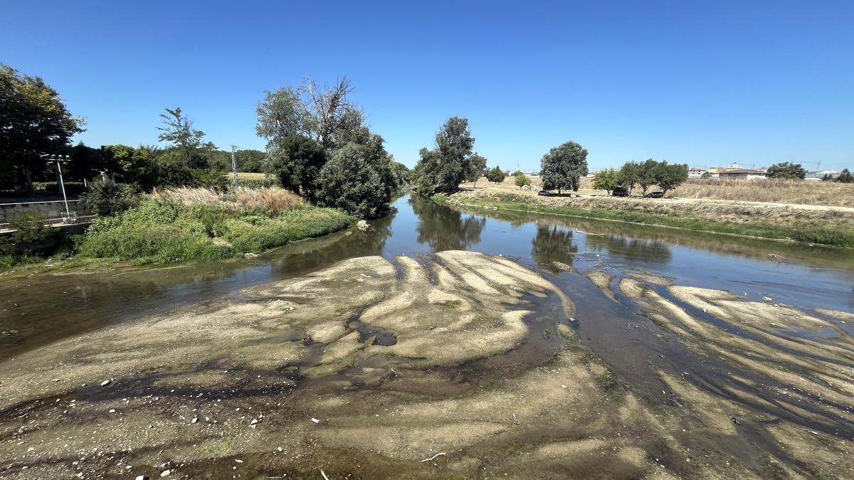 Edirne'de Tunca Nehri alarm veriyor: Su seviyesi kritik düzeye geriledi