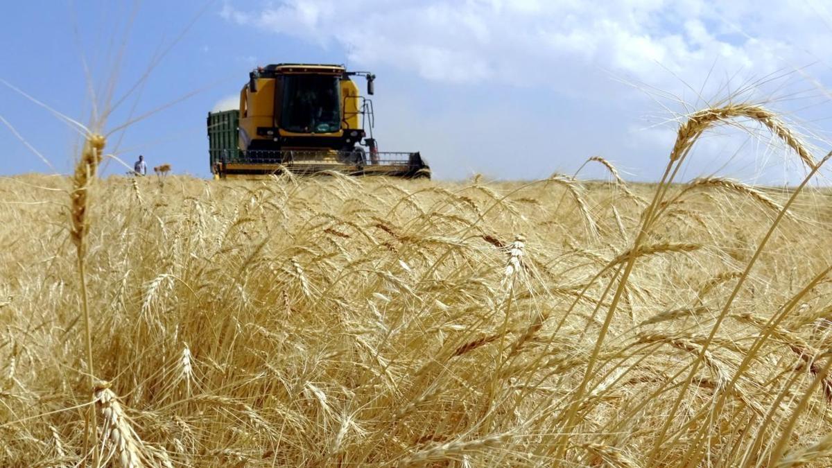 Tarımsal destekleme ödemeleri hesaplara aktarılıyor haber görseli