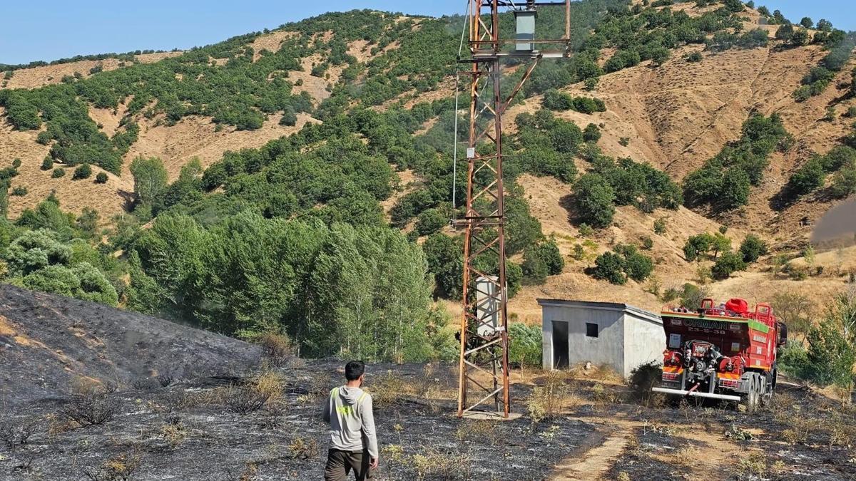 Bingölde ormanlık alanda çıkan örtü yangını söndürüldü