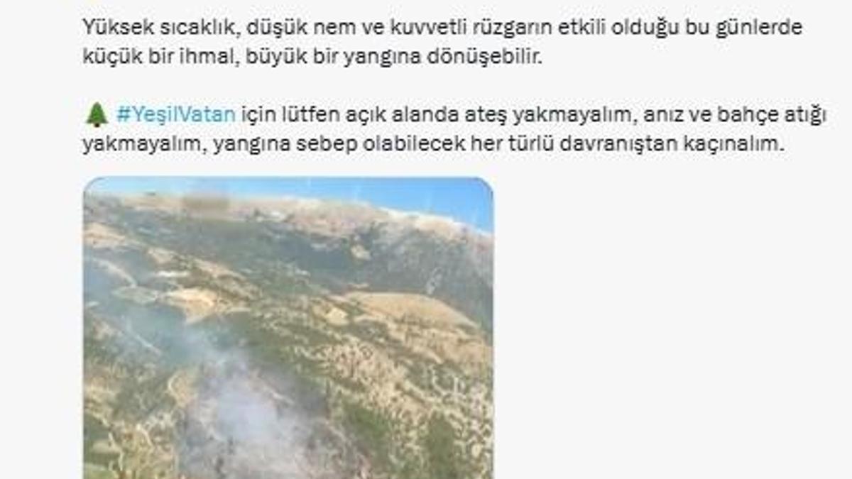 Bursa ve İzmir'de çıkan orman yangınları kontrol altına alındı