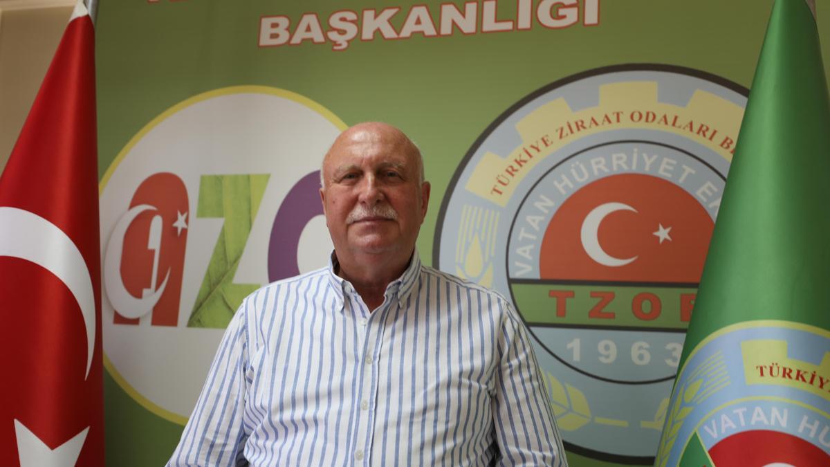Sakarya Ziraat Odaları İl Koordinasyon Kurulu Başkanı Bayraktar, fındık sezonunu değerlendirdi