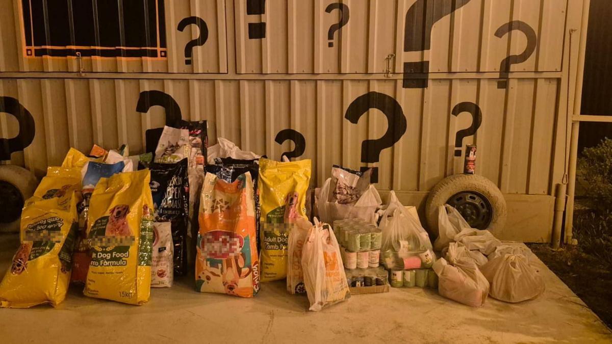 İzmir'de 'Dünya Köpek Gününde patili dostlar için 600 kilo mama toplandı