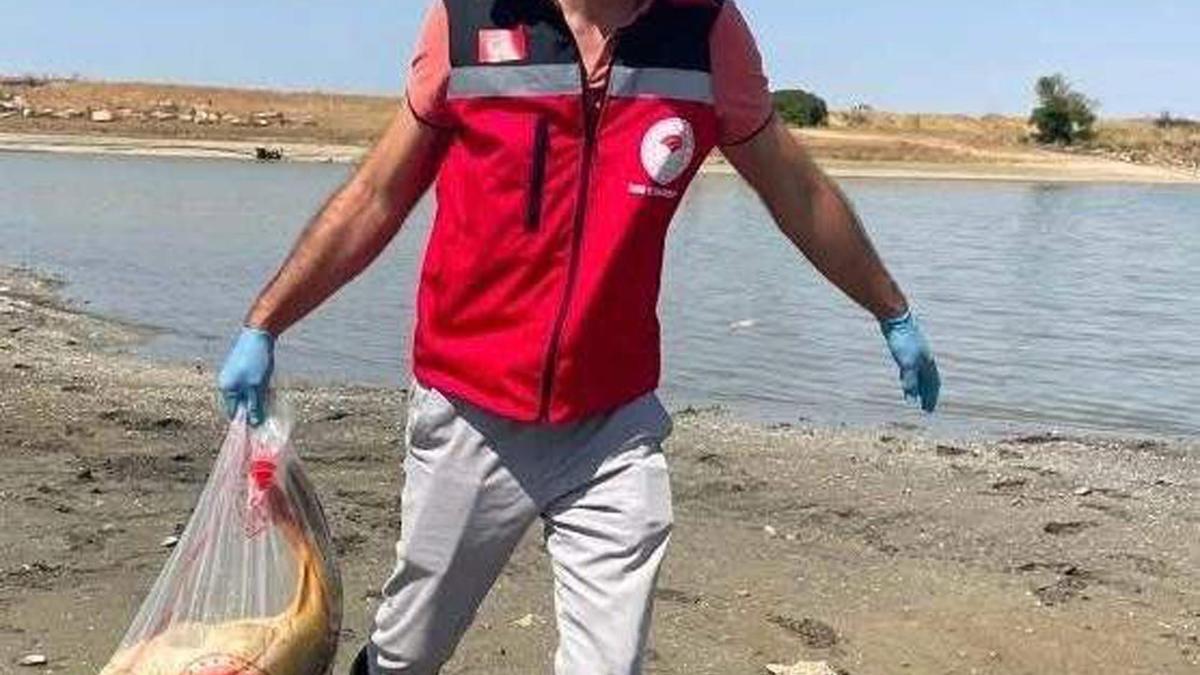 Tekirdağ'da gölette balık ölümlerine inceleme