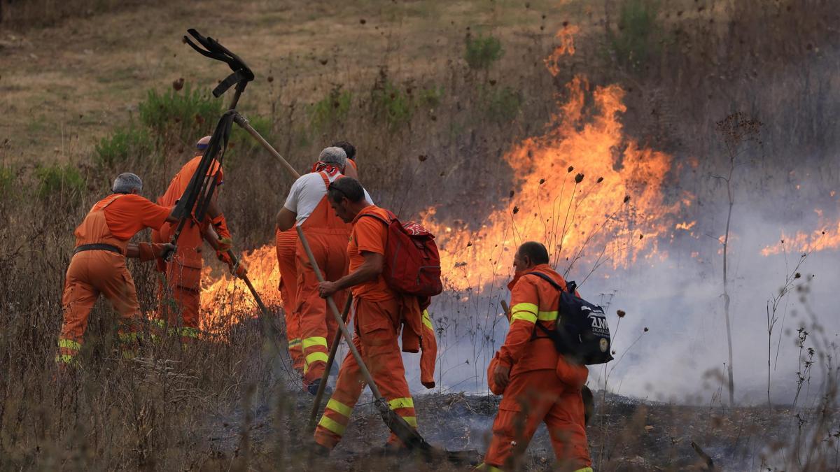 Sicilya ve Sardinya alevlere teslim: 100'den fazla kişi tahliye edildi