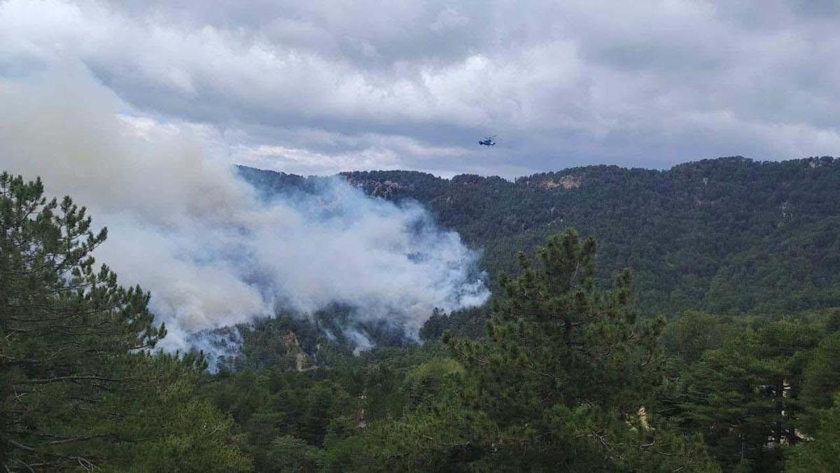 Antalya'daki orman yangını, 22 saatte kontrol altına alındı