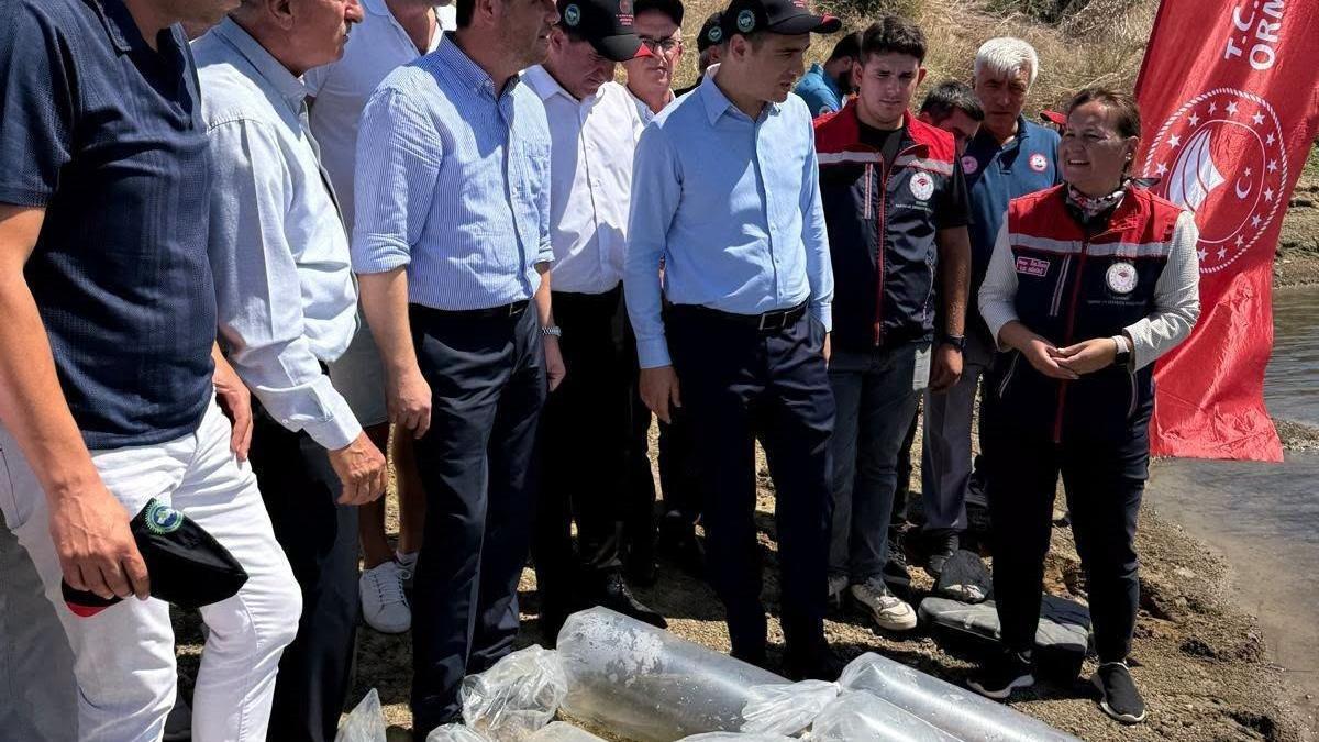 İpsalada gölete 2 bin yavru sazan balığı bırakıldı
