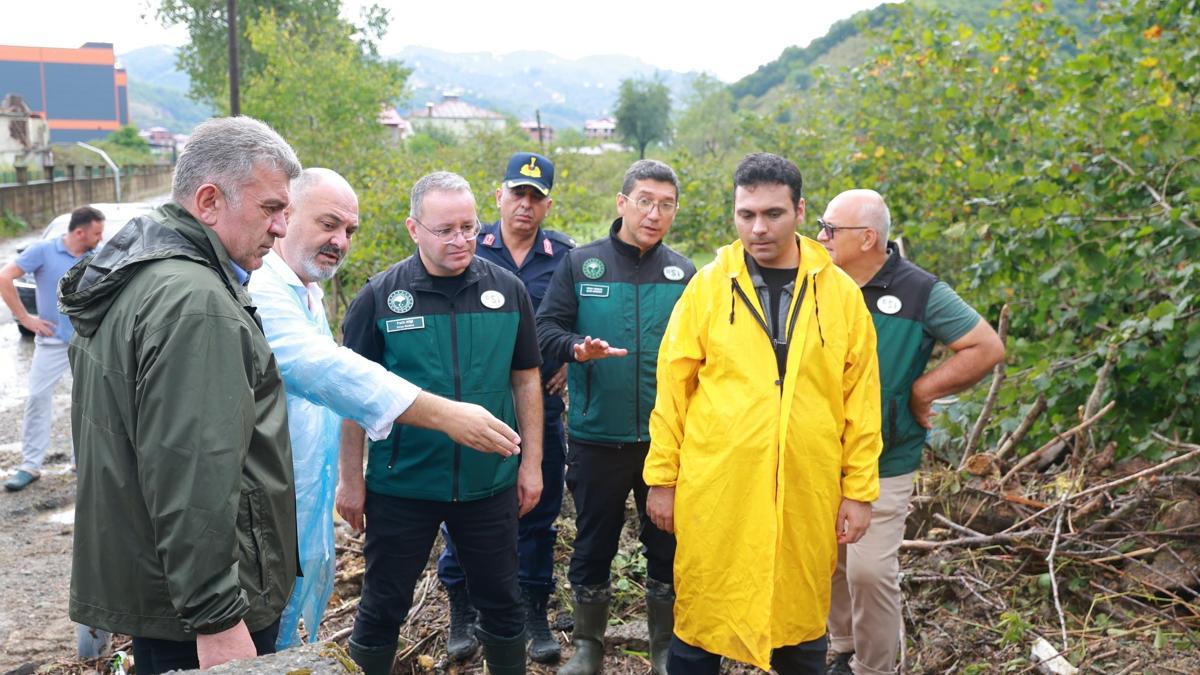 Giresun'dan kısa kısa