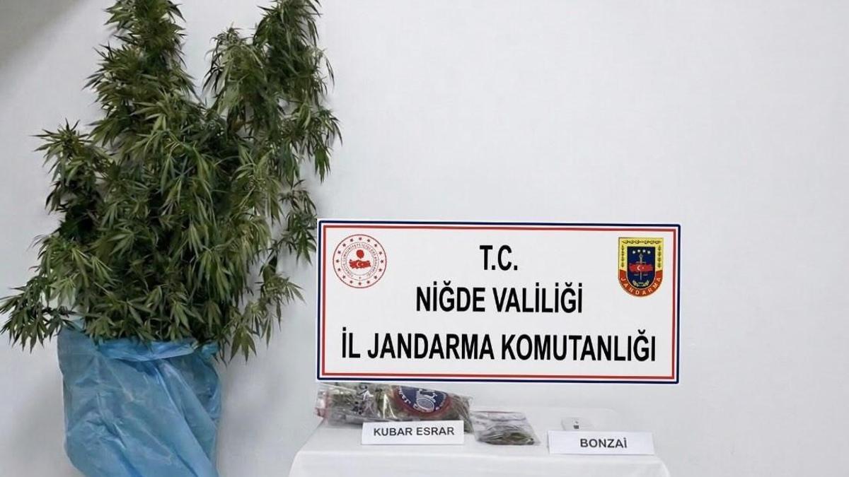 Borda uyuşturucu operasyonu; 1 gözaltı