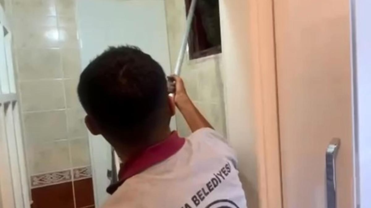 Apartmanın havalandırma bacasına düşen kedi kurtarıldı