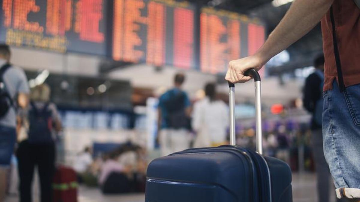 Ağustosta fiyatı en çok artan ve düşen ürünler belli oldu