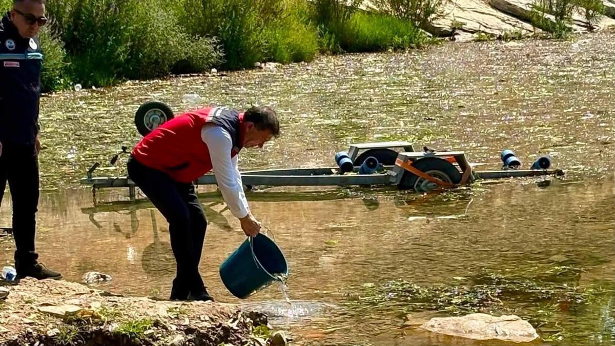 Hatay'da baraj ve göllere 682 bin sazan balığı yavrusu bırakıldı