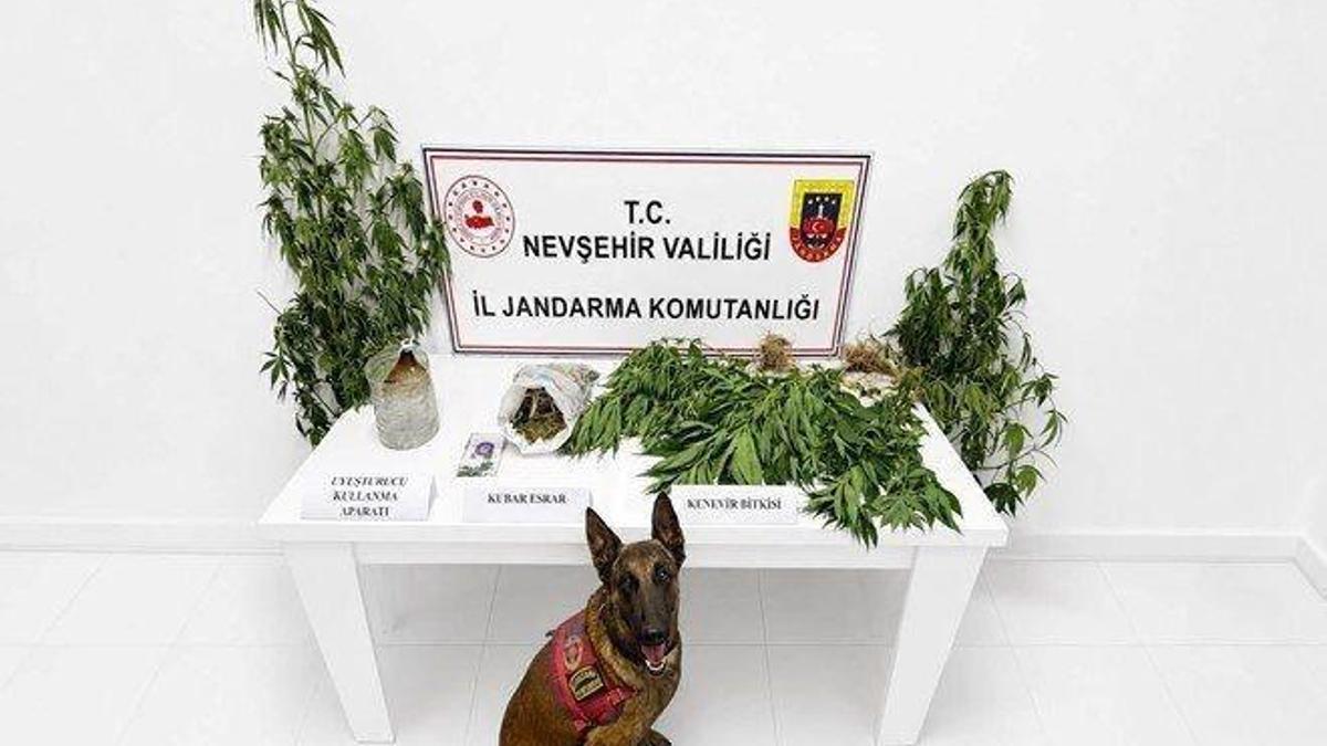 Nevşehir'de uyuşturucu operasyonu: 15 gözaltı