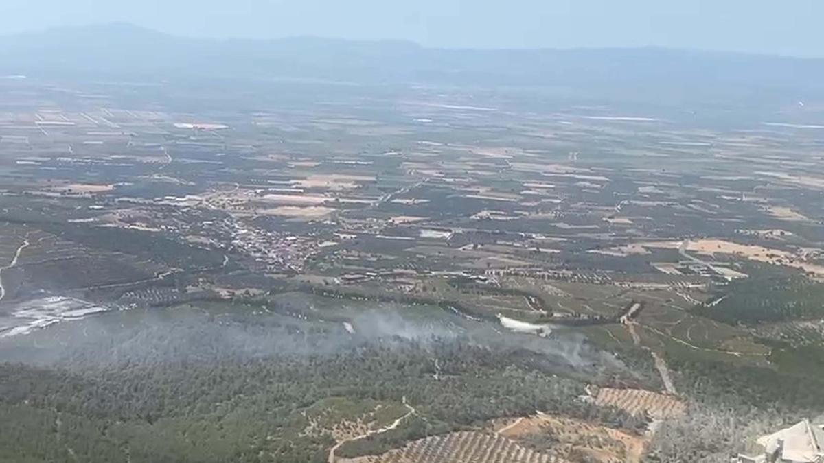 Manisa'da orman yangını!