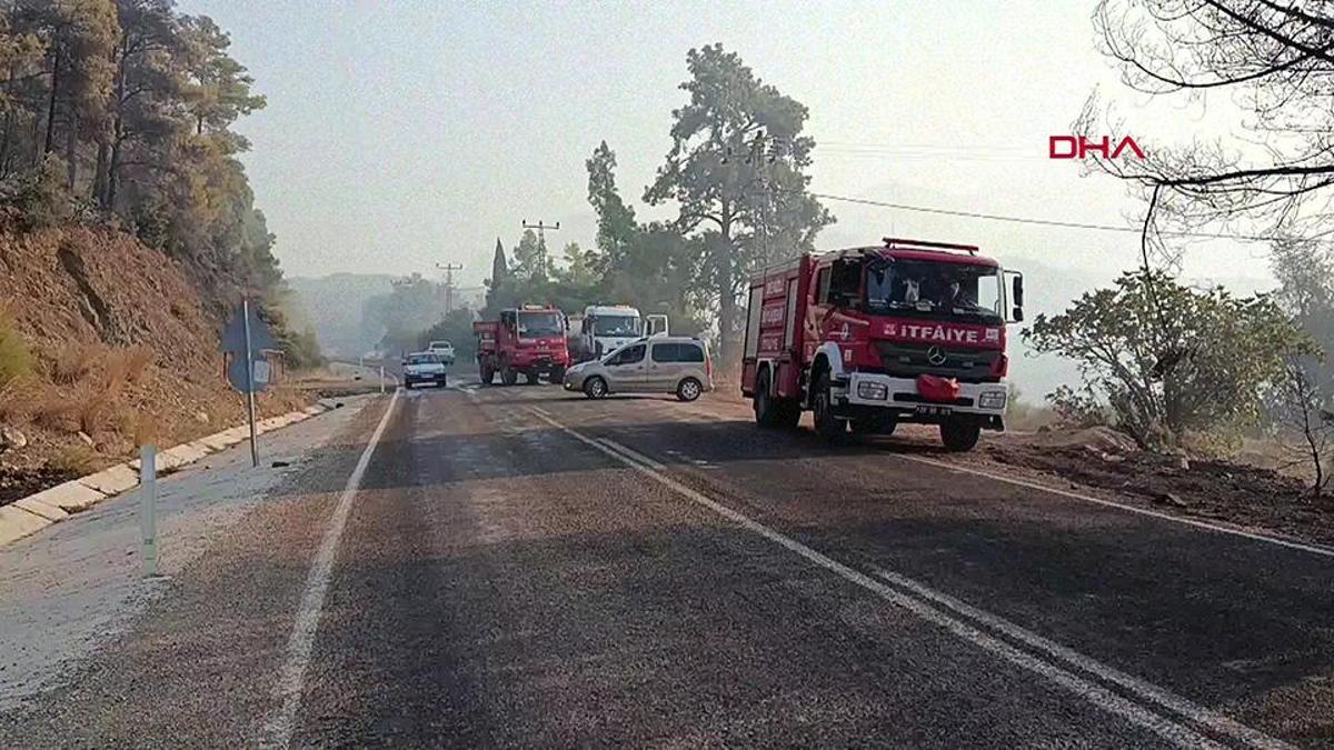 Antalya'daki orman yangınının enerjisi düşürüldü