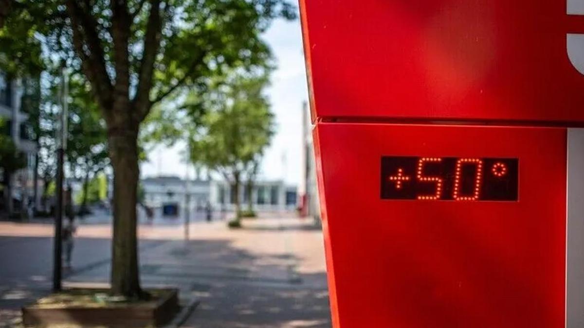 IFRC açıkladı: Avrupa’da sıcaklar 35 bin can aldı haber görseli