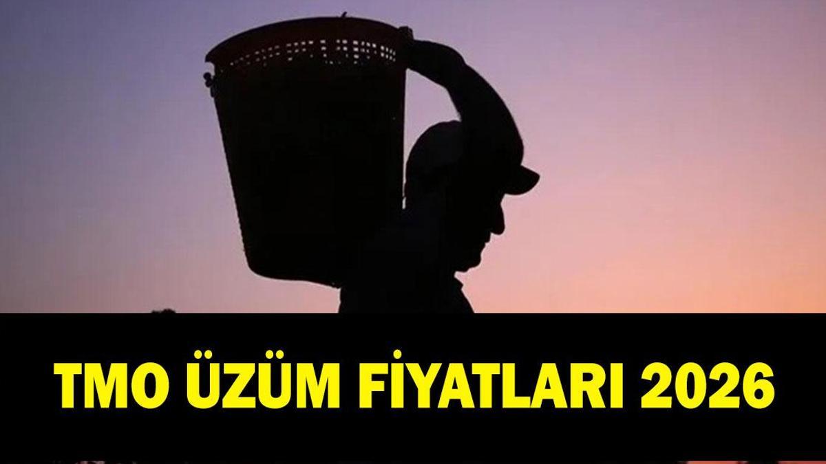 TMO ÜZÜM FİYATLARI 2026: Kuru üzüm fiyatları ne kadar oldu?