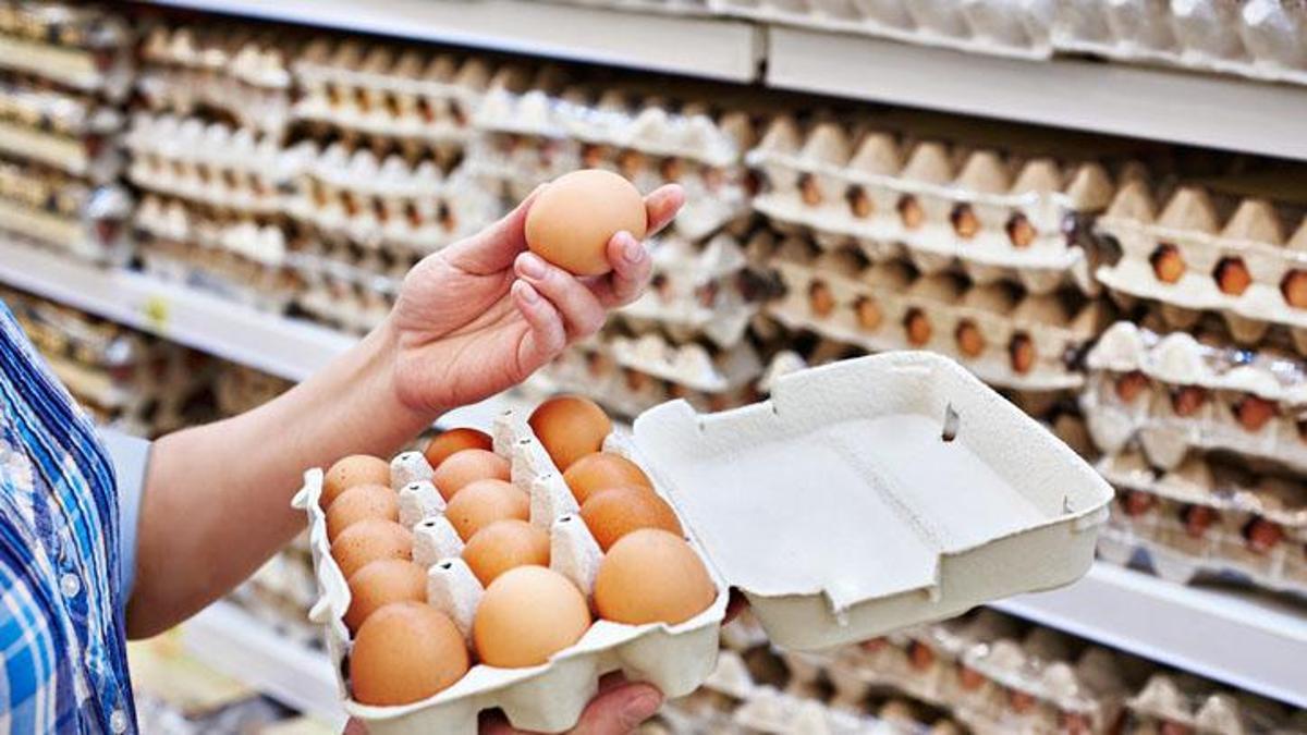 Yumurtada büyük aldatmaca: Kodlar ele verdi