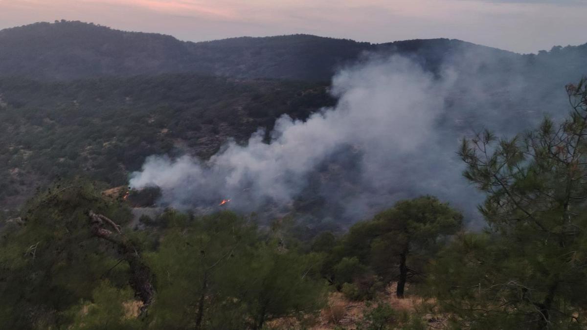 Gaziantep’te orman yangını