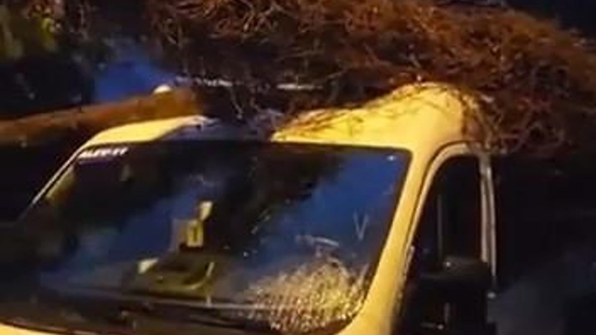 Kadıköy’de öğrenci almak için bekleyen servis minibüsünün üzerine ağaç devrildi haber görseli