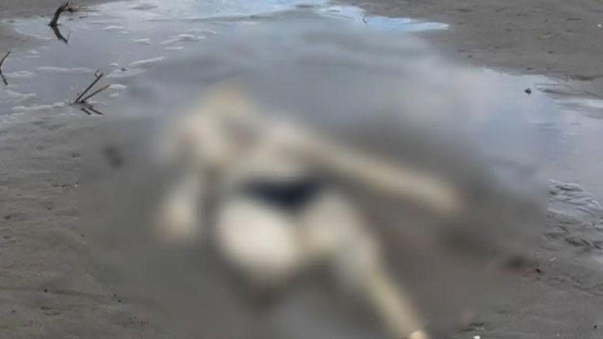 Samsun'da sahilde insan iskeleti bulundu