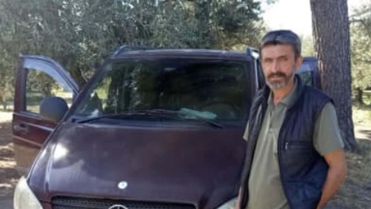 Zeytin toplarken arı soktu, hayatını kaybetti haber görseli
