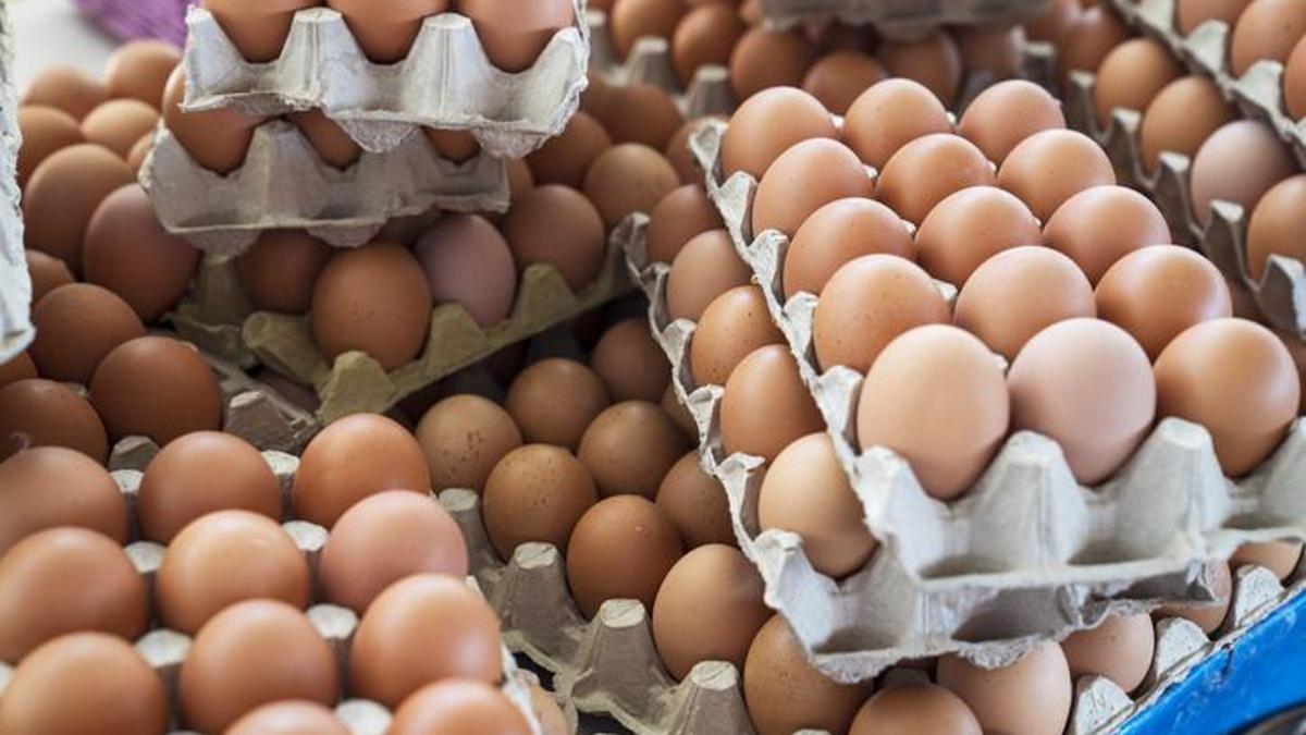 Türkiye'nin yumurta ihracatı 9 ayda yüzde 54 arttı